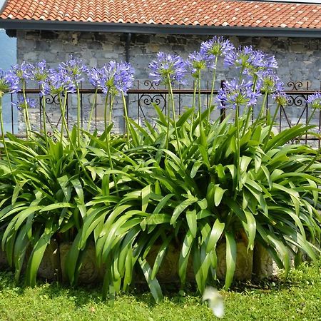 Casa Giardino Fiorito Daire San Siro  Dış mekan fotoğraf