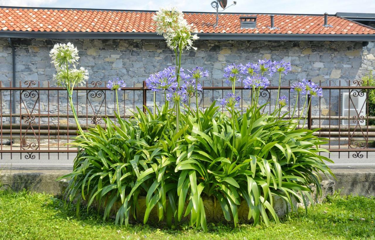 Casa Giardino Fiorito Daire San Siro  Dış mekan fotoğraf